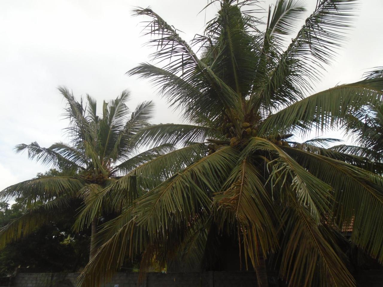 Hotel El Shaddai Mannar Exterior foto