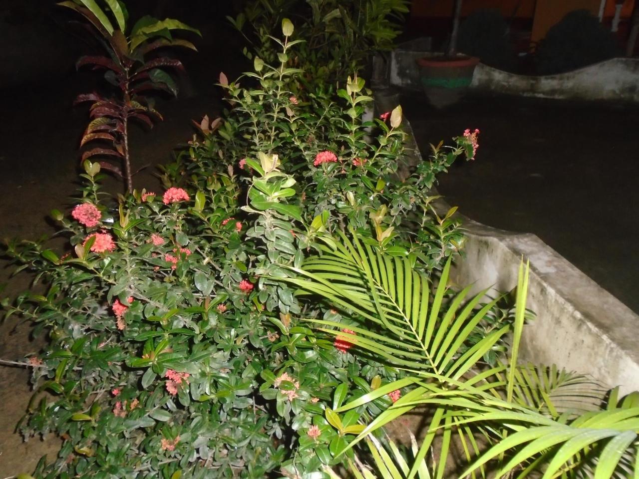 Hotel El Shaddai Mannar Exterior foto